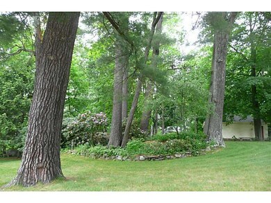 Yard/Garden.