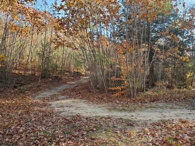 0 Fairman Road - Lot 69-1 2 3 unit 72920195, Orange, MA 01364 - photo 7