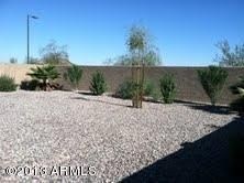Back Yard 2
