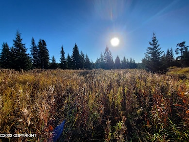 67618 Shavila Rd, Ninilchik, AK 99639 - photo 3