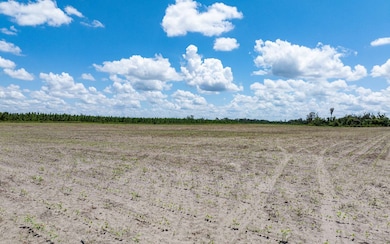 TBD 148th St, Live Oak, FL 32060 - photo 4