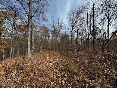 00 129-00-00-051 00 Ridgeline Rd, Raccoon, KY 41566 - photo 4