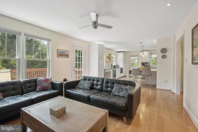 4208 Maple Terrace, Chevy Chase, MD 20815 - photo 6