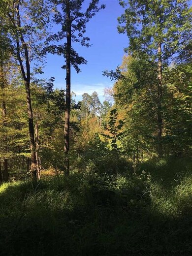 221 Tow Path Rd, Accord, NY 12404 - photo 4