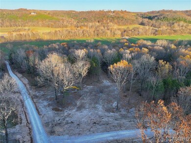 Tract 16E Bobwhite Ln, Unincorporated, MO 65452 - photo 6