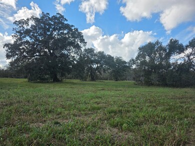 340 Pony Trail, Richwood, TX 77515 - photo 4