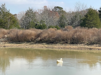 414332 E 1885 Rd, Antlers, OK 74523 - photo 7