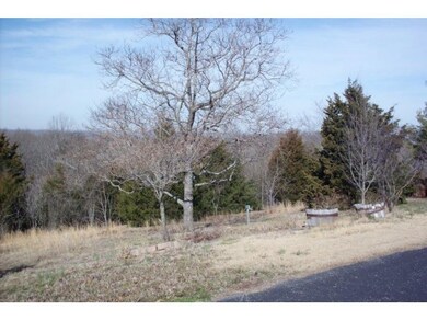 11 James View Rd, Kimberling City, MO 65686 - photo 2