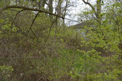 DSC_0900_tn