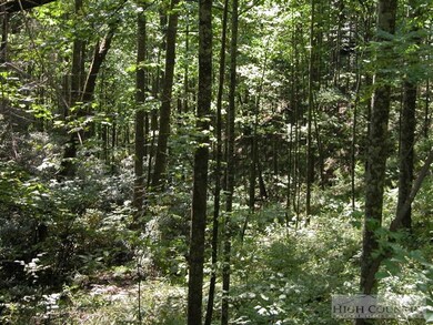 SLOPING LOTS: Platted as two lots, each lot has it