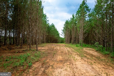 375 Bagley Rd, Forsyth, GA 31029 - photo 3