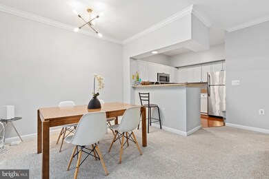 2201 Westcourt Ln unit 203, Herndon, VA 20170 - photo 7