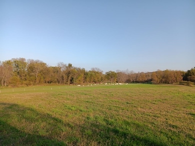 000 Hwy 80 S, Richland Center, WI 53581 - photo 4