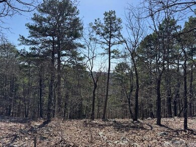 0 Fox Ridge Rd unit 25010505, Little Rock, AR 72223 - photo 7