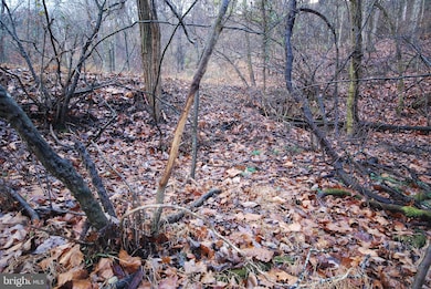 Lot 29 & 30 Staubwoods Dr, Romney, WV 26757 - photo 4