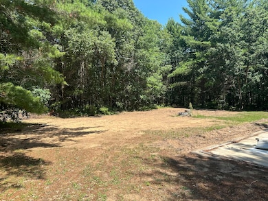 2018 W 44th St, Baldwin, MI 49304 - photo 2