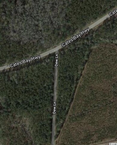 Lot 15B Dew Ln, Conway, SC 29527 - photo 4