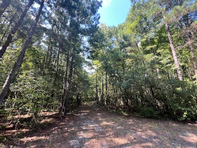 0 French Santee Rd unit 24022267, Jamestown, SC 29453 - photo 4