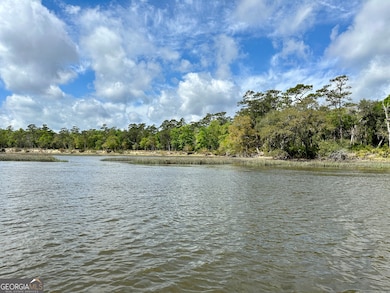 0 Simmons Bluff Rd unit 10371213, Woodbine, GA 31569 - photo 4