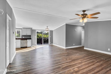 04-8631 Ball Camp Pike-4