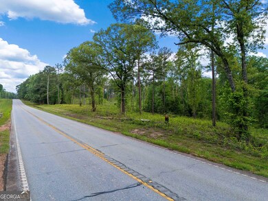 0 Georgia 100 unit 10646369, Franklin, GA 30217 - photo 3