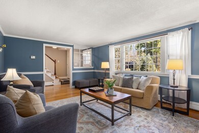 11 Fox Ln, Medfield, MA 02052 - photo 4