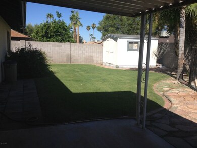 Back yard 2