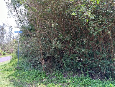 0 Kona St unit 706207, Pahoa, HI 96778 - photo 2