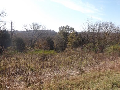 1 Stella Church Rd, Prospect, TN 38477 - photo 2