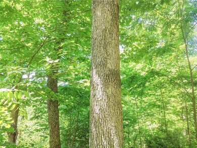 11 Moss Run Rd, Marietta, OH 45750 - photo 2