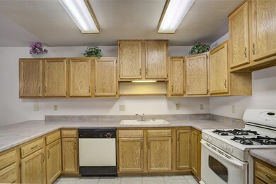 IMG_25 (2)