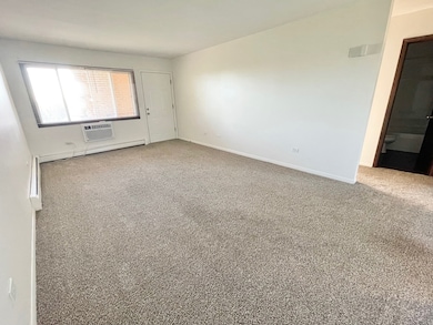 222 S Tryon St unit 8, Wood Stock, IL 60098 - photo 7