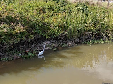 14390 Bayou Terrace Dr, St. Amant, LA 70774 - photo 4