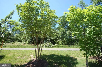 25299 Justice Dr, Chantilly, VA 20152 - photo 4