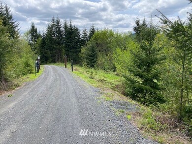 0 Buckhorn Rd unit 1935246, Winlock, WA 98596 - photo 2