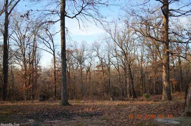 136 Cr 137 Rd, Bono, AR 72416 - photo 2