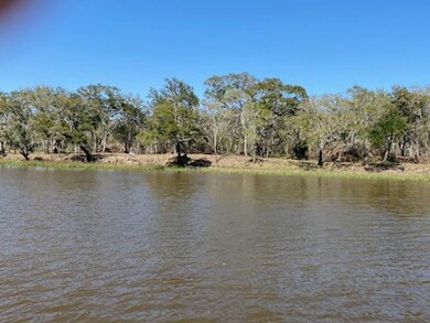 3745 Farm To Market 2611, Brazoria, TX 77422 - photo 7