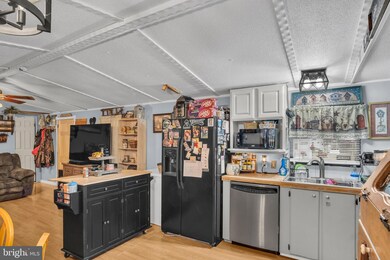 21 Willow Tree Ln, Dover, PA 17315 - photo 5