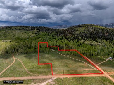 DJI_20250604142738_0001_LotLines