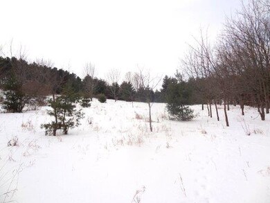 0 Hwy 51 unit 1737845, Dunn, WI 53558 - photo 4