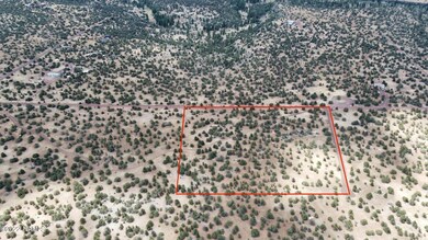 RemoteMediaFile_6553935_0_2022_07_12_11_