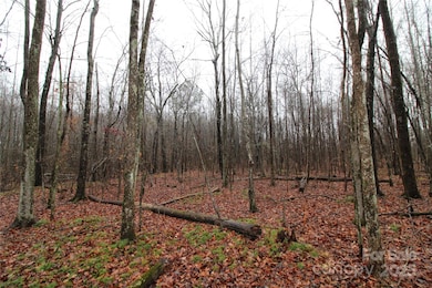 4+/-AC LOT 3 Eaker Rd, Kings Mountain, NC 28086 - photo 3