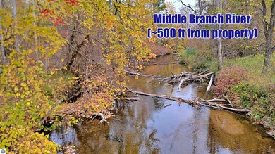 0 Twin Lake Rd, Middle Branch Township, MI 49665 - photo 4