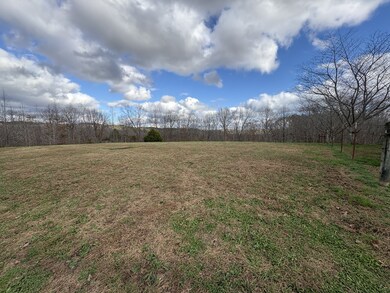 150 Limo View Ln, Hohenwald, TN 38462 - photo 4