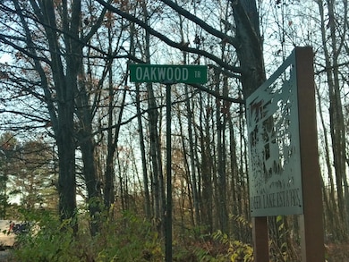 9579 E Timberline Trail, Pinora Township, MI 49677 - photo 3