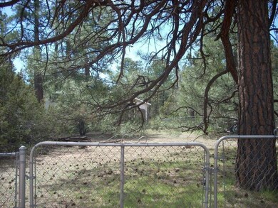 2053 WILDERNESS (5)