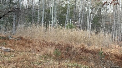 X Aldrich Rd, Wurtsboro, NY 12790 - photo 6