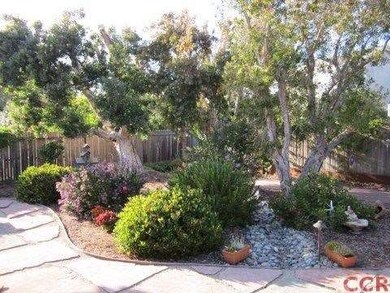 Rear patio Garden
