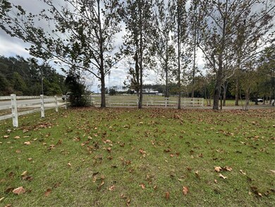 6604 Mount Plymouth Rd, Apopka, FL 32712 - photo 3