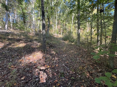 120 Horizon Ln, Lester, WV 25865 - photo 4